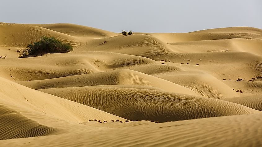Taklamakan Desert